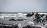 湛江旅游景点大全先容（湛江旅游景点大全先容，探寻众多自然与历史遗迹）